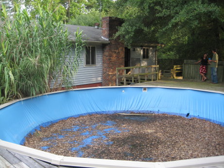Pool and Back of House