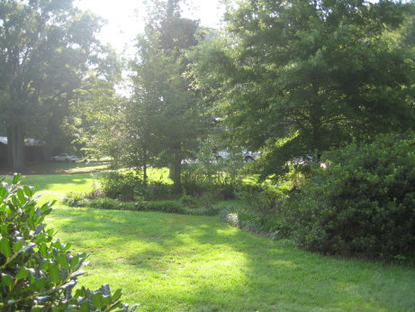More Front Yard
