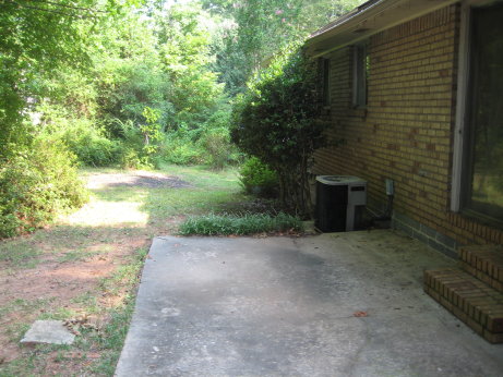 View of Back Yard